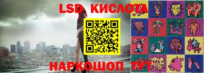 прущие грибы Балаково