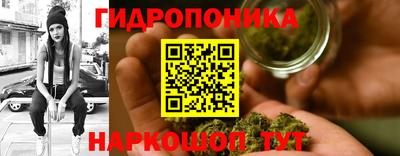 гашик Балахна
