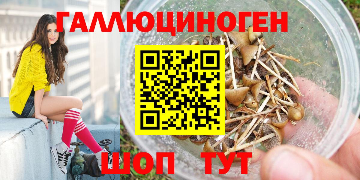 купить  сайты  Псилоцибиновые грибы Psilocybine cubensis  Вход с VPN  Галлюциногенные грибы GOLDEN TEACHER  Дербент 